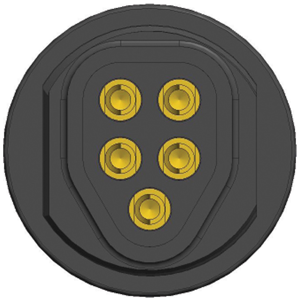 九游官网-清明节法定假日是几天?